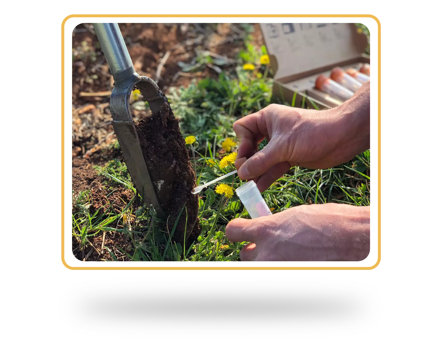 BeCrop Test Header Img