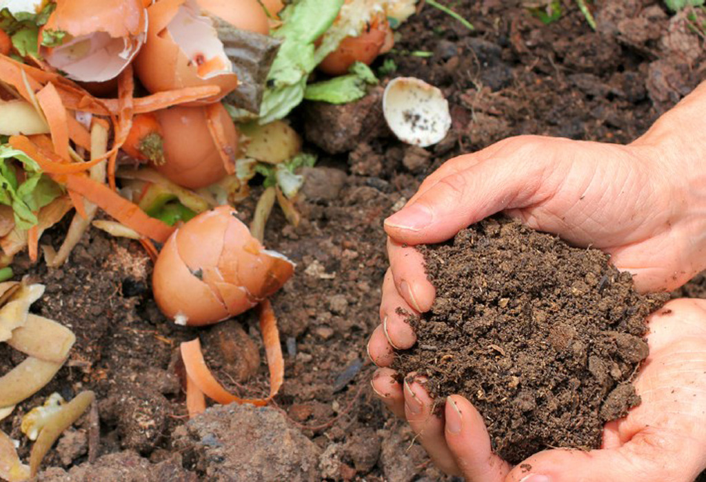 blog-post-garden-gate-3